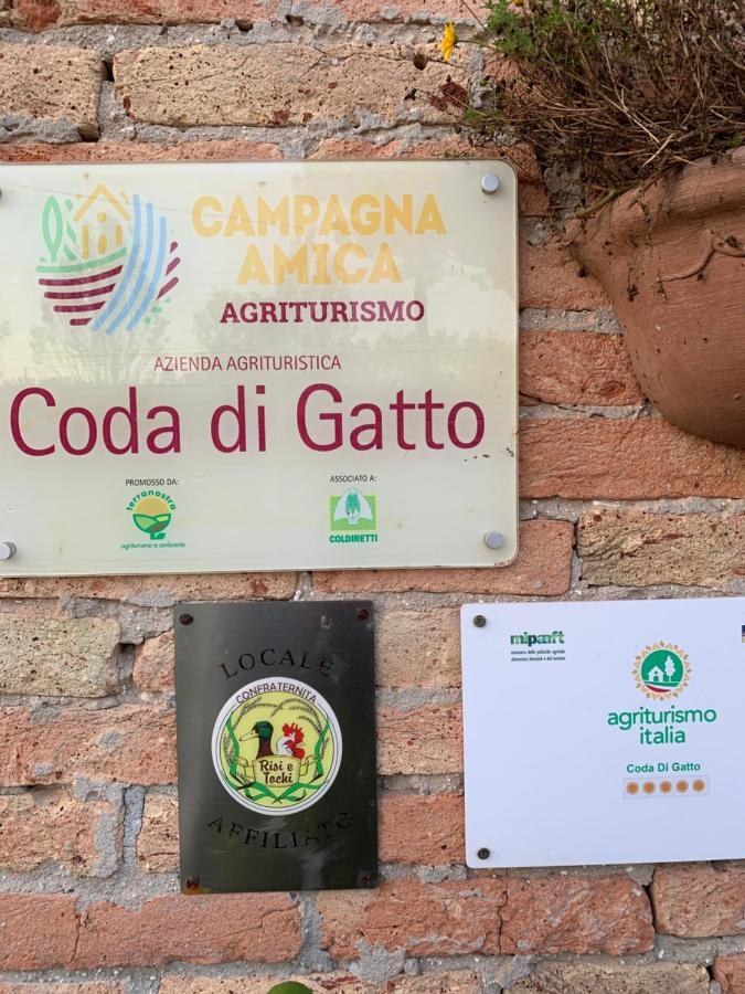 Agriturismo Coda Di Gatto Eraclea Екстериор снимка